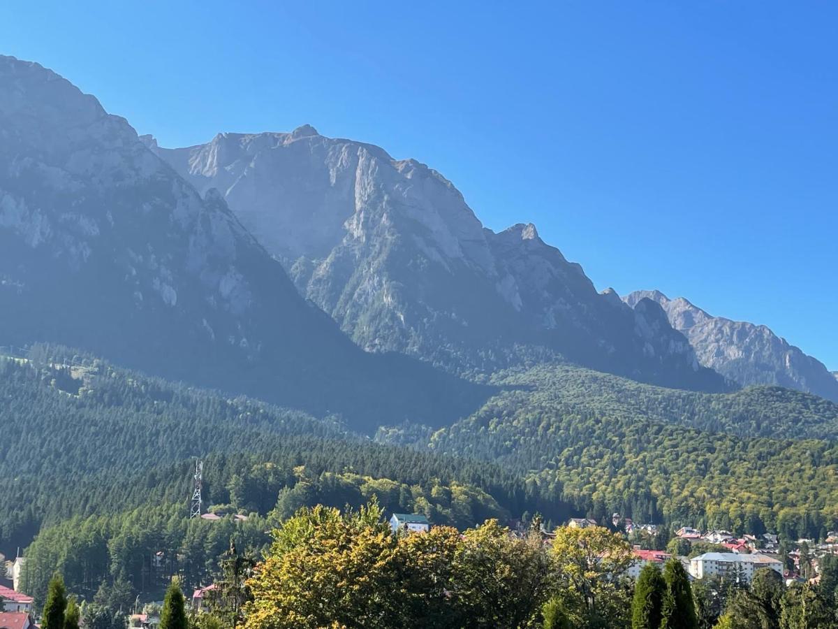 Apartament Lexannona Буштени Экстерьер фото