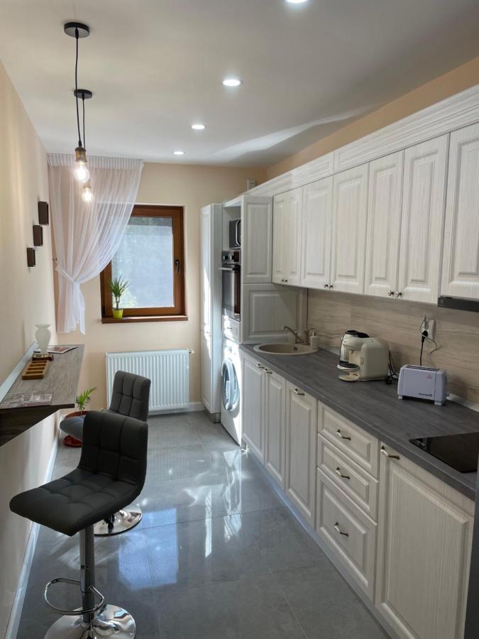 Apartament Lexannona Буштени Экстерьер фото