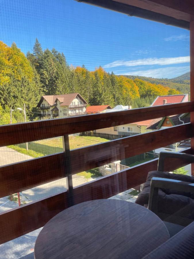 Apartament Lexannona Буштени Экстерьер фото